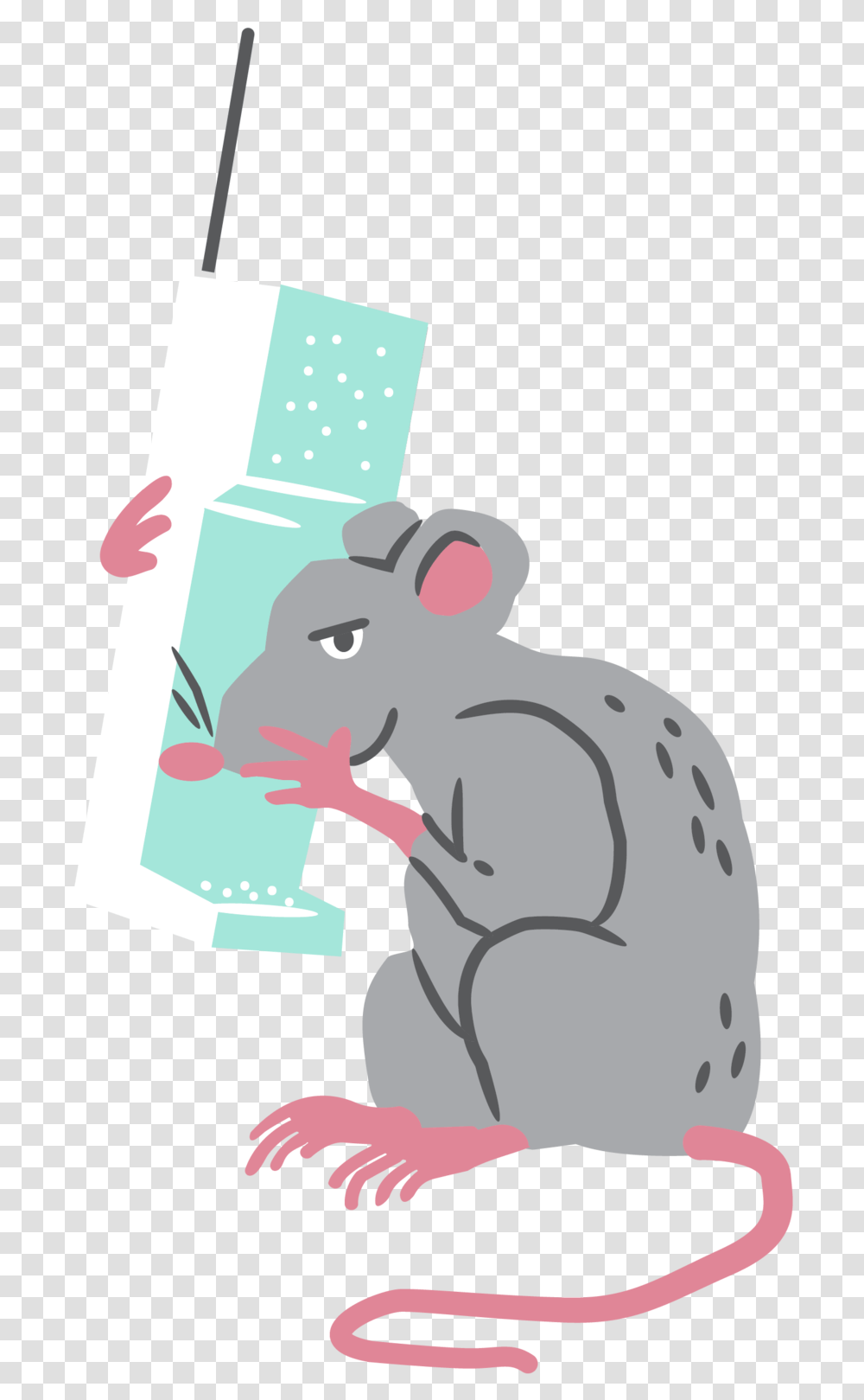 Rat, Mammal, Animal, Rodent Transparent Png