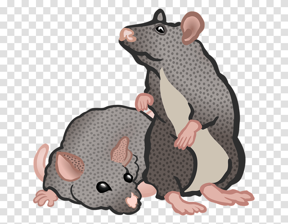 Rat Mouse Clipart Clip Art 2 Rat, Mammal, Animal, Rodent, Wildlife Transparent Png