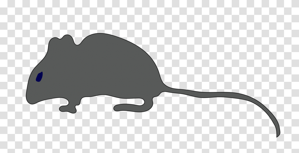 Rat Mouse Gerbil Rodent Cat, Mammal, Animal, Wildlife, Mole Transparent Png
