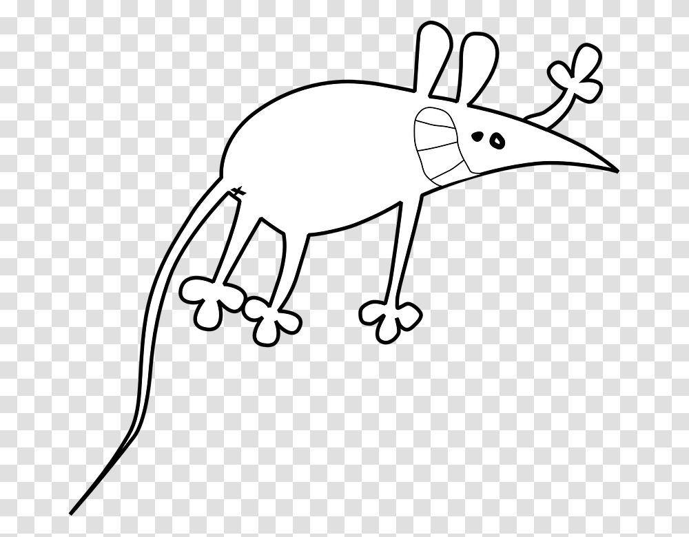 Rat Mouse Rodent Pest Mice Animal Vermin Cartoon Rats, Bird, Mammal, Stencil, Wildlife Transparent Png
