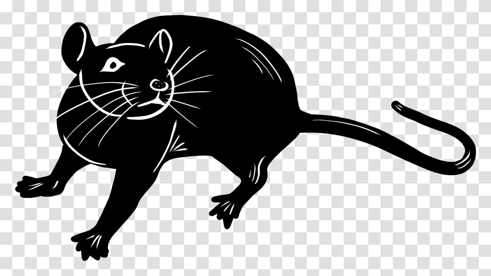 Rat Rat, Mammal, Animal, Pet, Cat Transparent Png