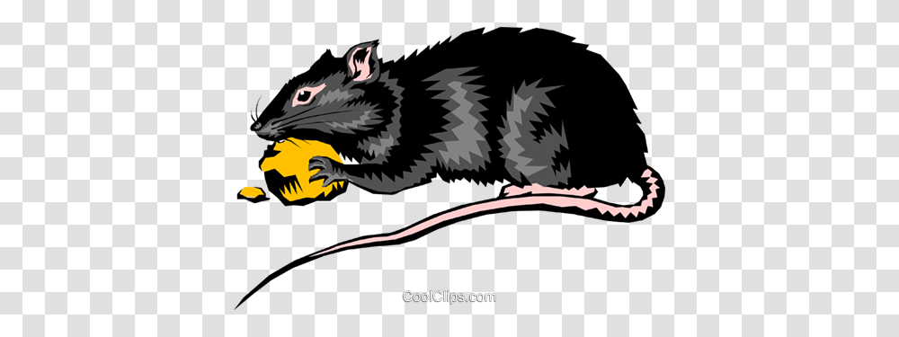 Rat Royalty Free Vector Clip Art Illustration, Rodent, Mammal, Animal, Bird Transparent Png