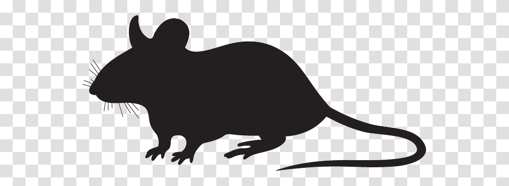 Rat Silhouette Image, Mammal, Animal, Rodent, Wildlife Transparent Png