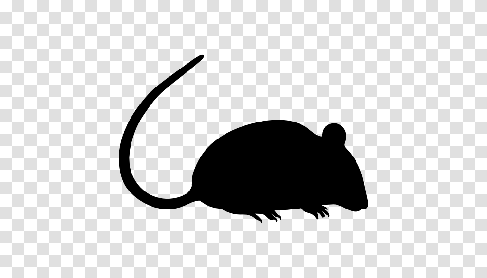 Rat Silhouette, Mammal, Animal, Rodent, Beaver Transparent Png