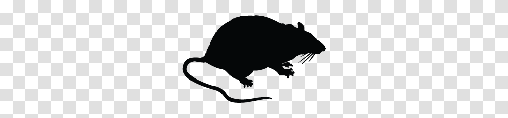 Rat Vector Image, Animal, Mammal, Rodent, Wildlife Transparent Png