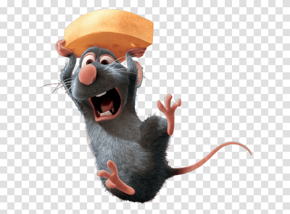 Ratatouille, Cat, Pet, Mammal, Animal Transparent Png