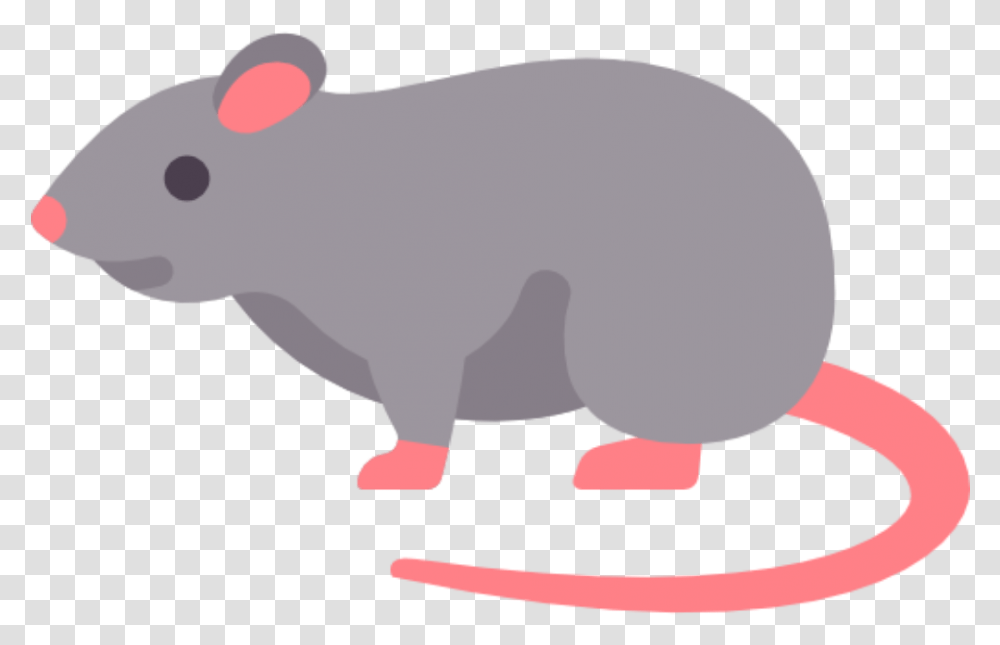 Rats Cartoon Rat, Mammal, Animal, Rodent, Pig Transparent Png