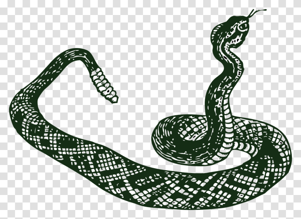 Rattle Snake Serpent Snake Tribal Rattler Danger Snake Clip Art, Reptile, Animal, Green Snake, Anaconda Transparent Png