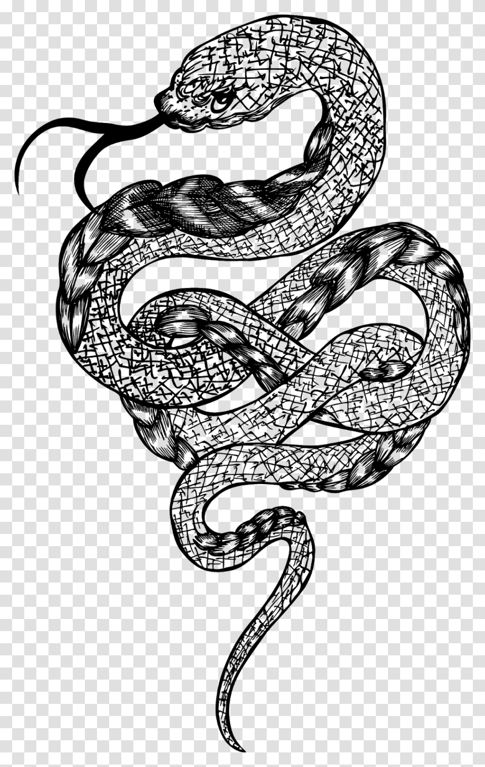 Rattlesnake Black Snake Vector, Gray, World Of Warcraft Transparent Png