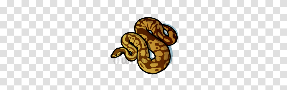 Rattlesnake Clipart Ajgar, Reptile, Animal, Anaconda, Rock Python Transparent Png
