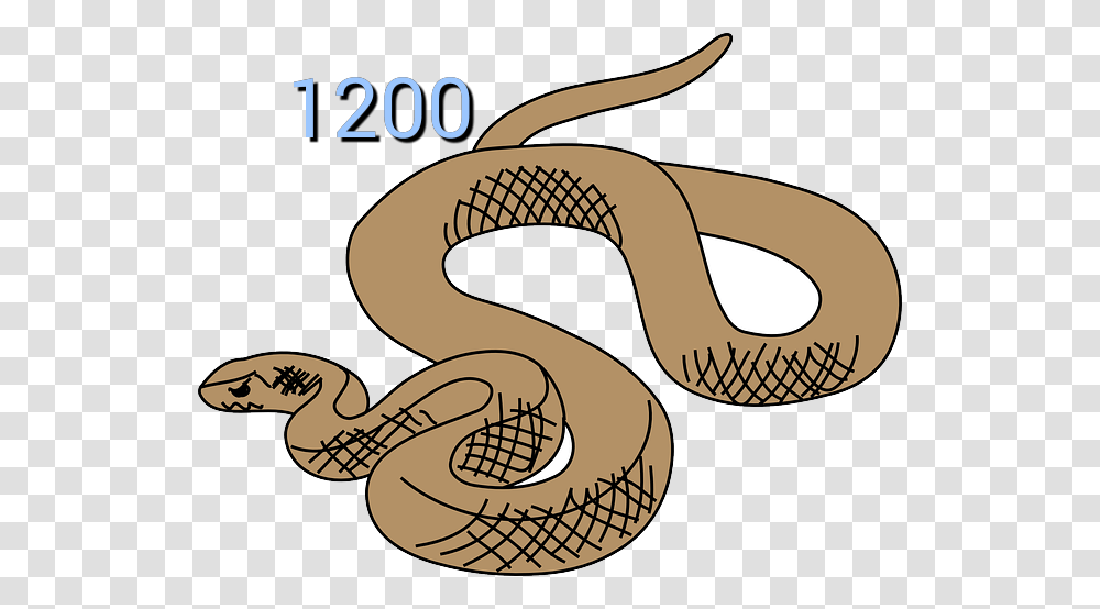 Rattlesnake Clipart Australian Snake Snake Clipart, Reptile, Animal, Sunglasses, Accessories Transparent Png