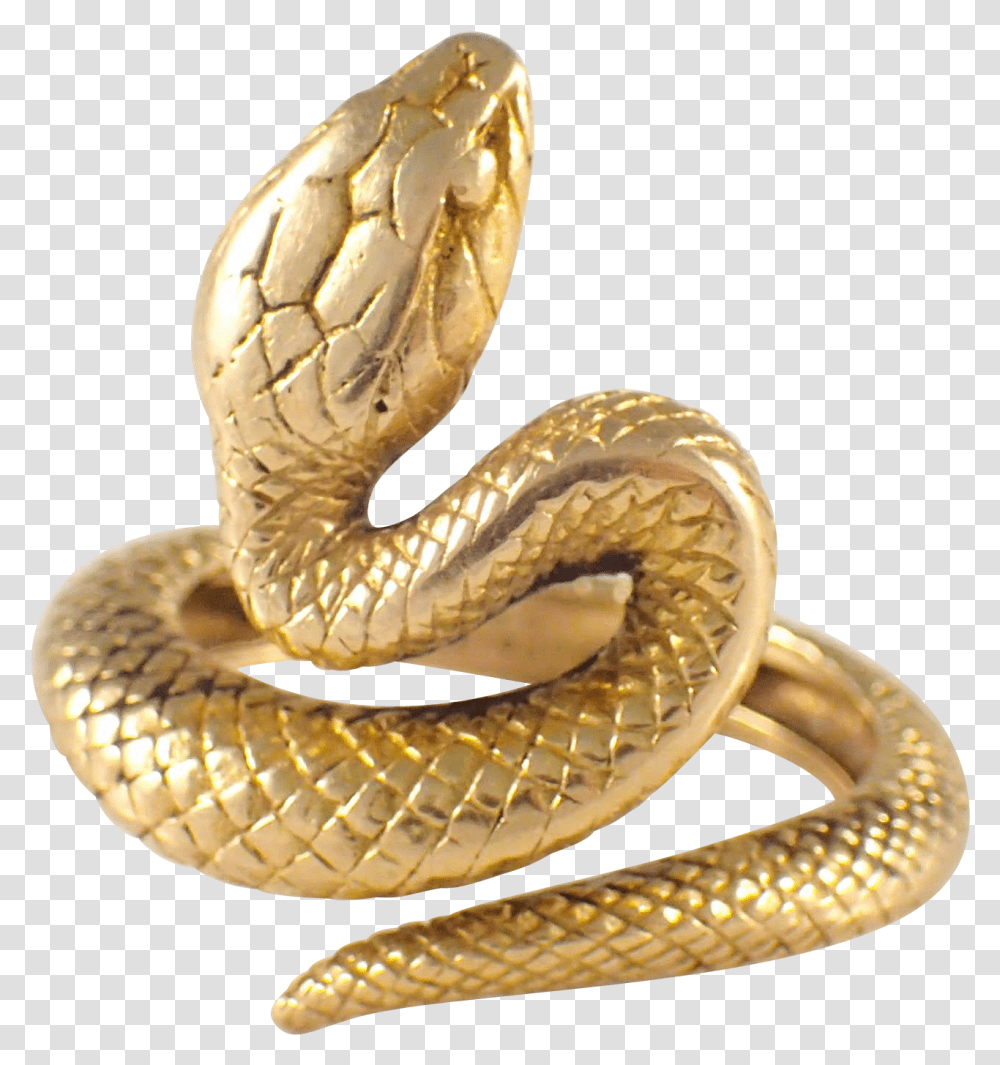 Rattlesnake Gold Reptile Vipers Gold Snake, Animal, Cobra Transparent Png