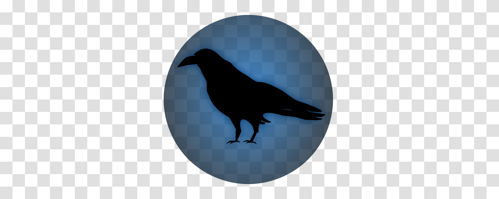Raven Animals, Bird, Blackbird, Agelaius Transparent Png