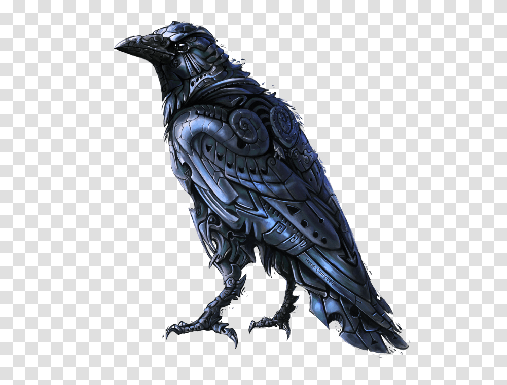 Raven, Animals, Bird, Crow, Vulture Transparent Png