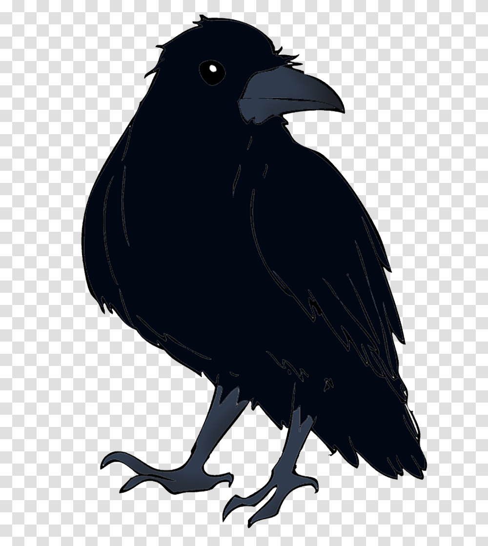 Raven, Animals, Bird, Silhouette, Crow Transparent Png