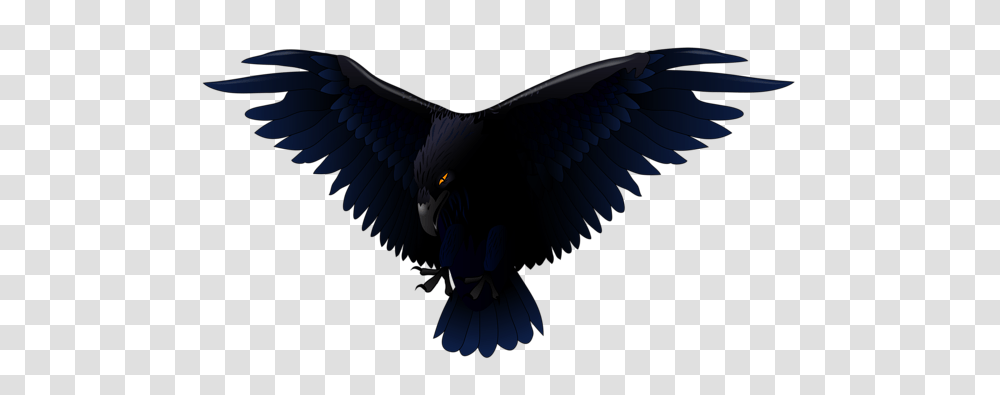 Raven, Animals, Bird, Vulture, Flying Transparent Png