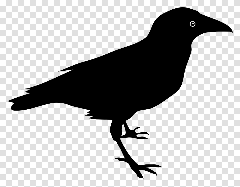 Raven, Animals, Bow, Silhouette, Bird Transparent Png