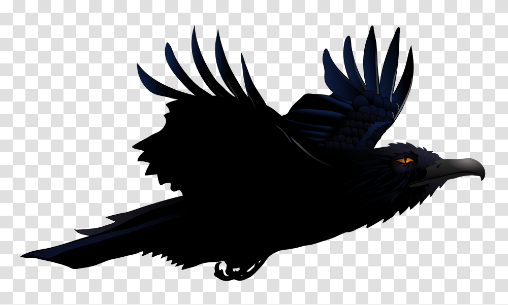 Raven, Animals, Eagle, Bird, Vulture Transparent Png