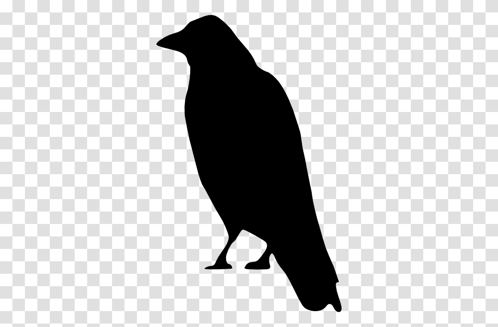 Raven, Animals, Silhouette, Bird, Blackbird Transparent Png