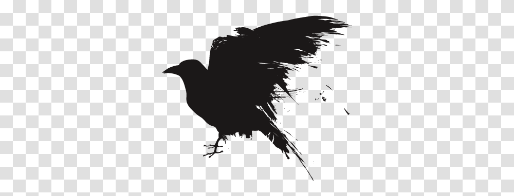 Raven, Animals, Silhouette, Bird, Vulture Transparent Png