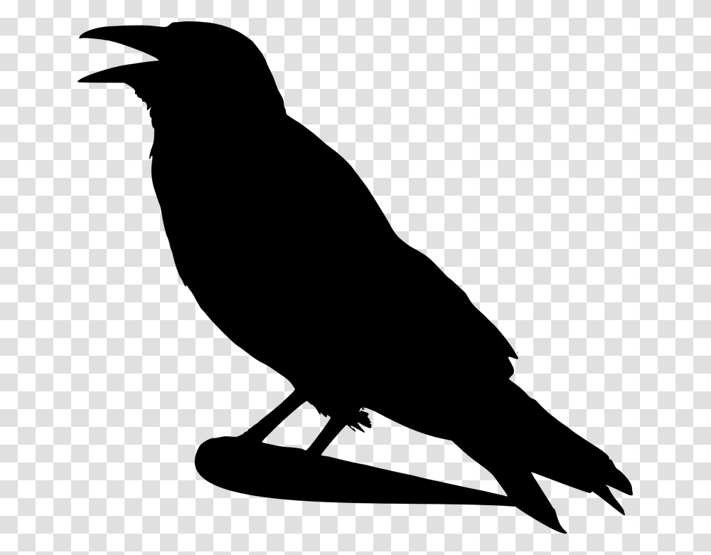 Raven Bird Clipart, Gray, World Of Warcraft Transparent Png