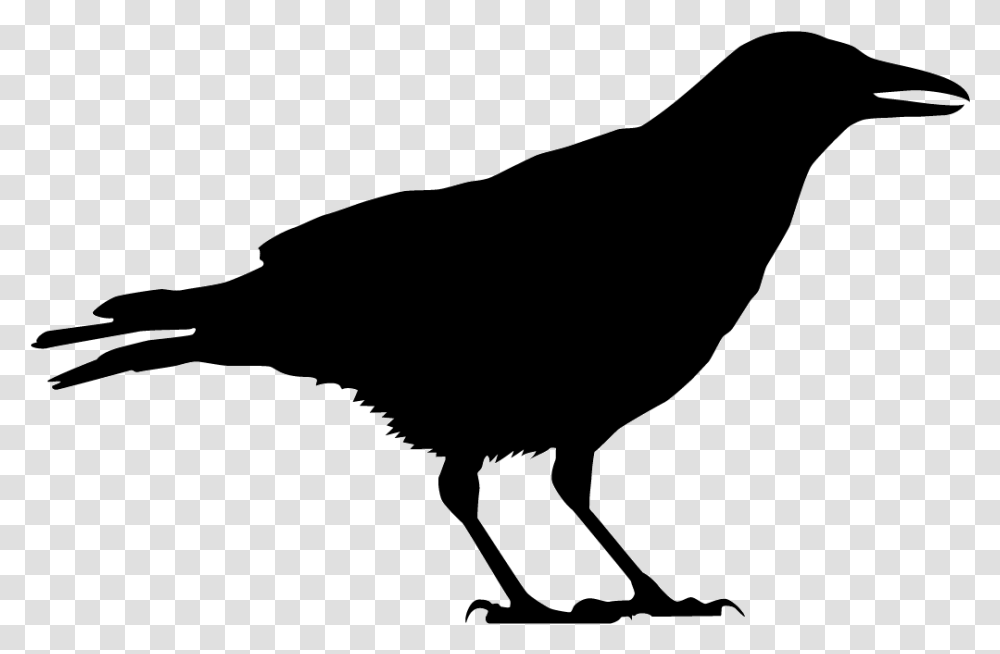 Raven Black And White, Silhouette, Crow, Bird, Animal Transparent Png