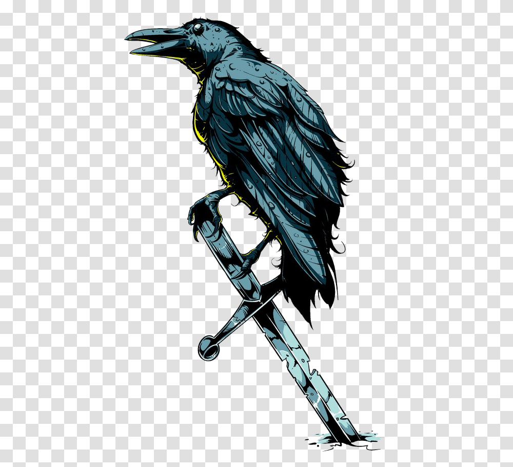 Raven Blue, Animal, Bird, Waterfowl Transparent Png