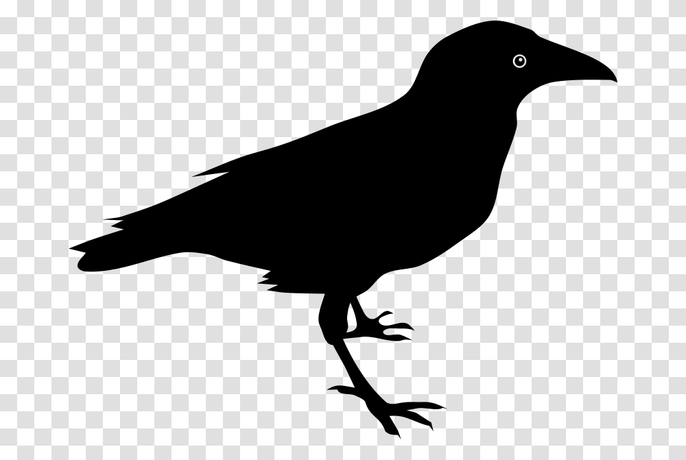 Raven By Rones, Animals, Gray, World Of Warcraft Transparent Png