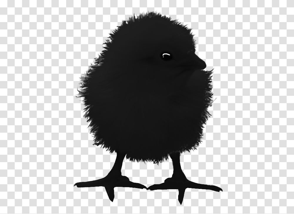 Raven Chick Illustration, Animal, Bird, Silhouette, Bear Transparent Png