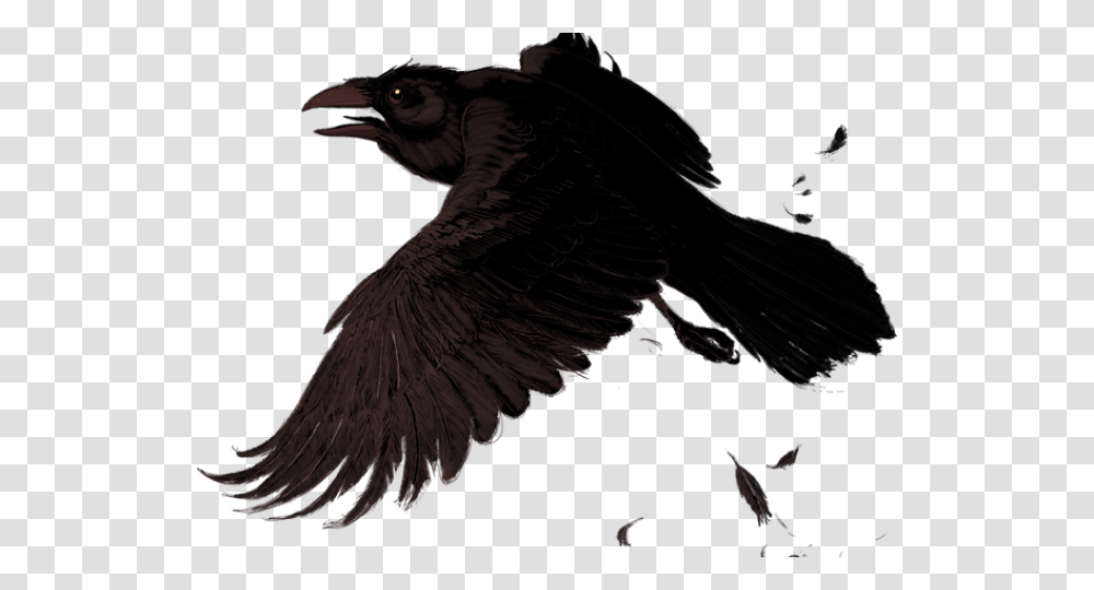 Raven Clipart Background Doves And Ravens Fly The Same, Vulture, Bird, Animal, Condor Transparent Png