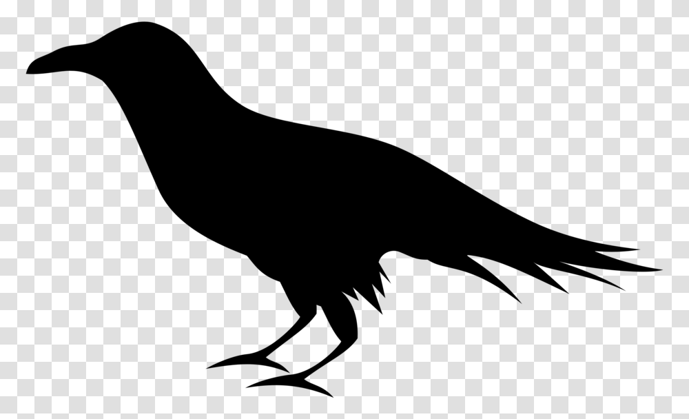 Raven Clipart Free Download Raven Clipart, Gray, World Of Warcraft Transparent Png