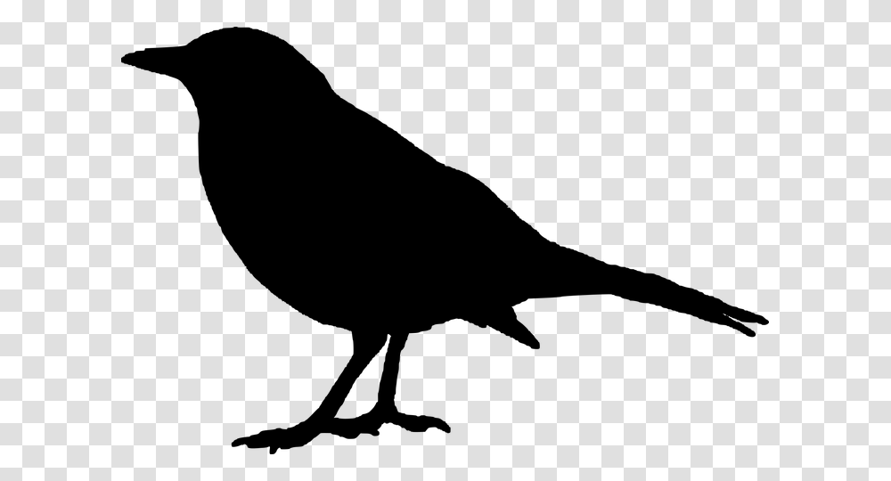Raven Clipart, Gray, World Of Warcraft Transparent Png