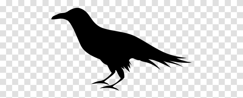 Raven Clipart, Gray, World Of Warcraft Transparent Png