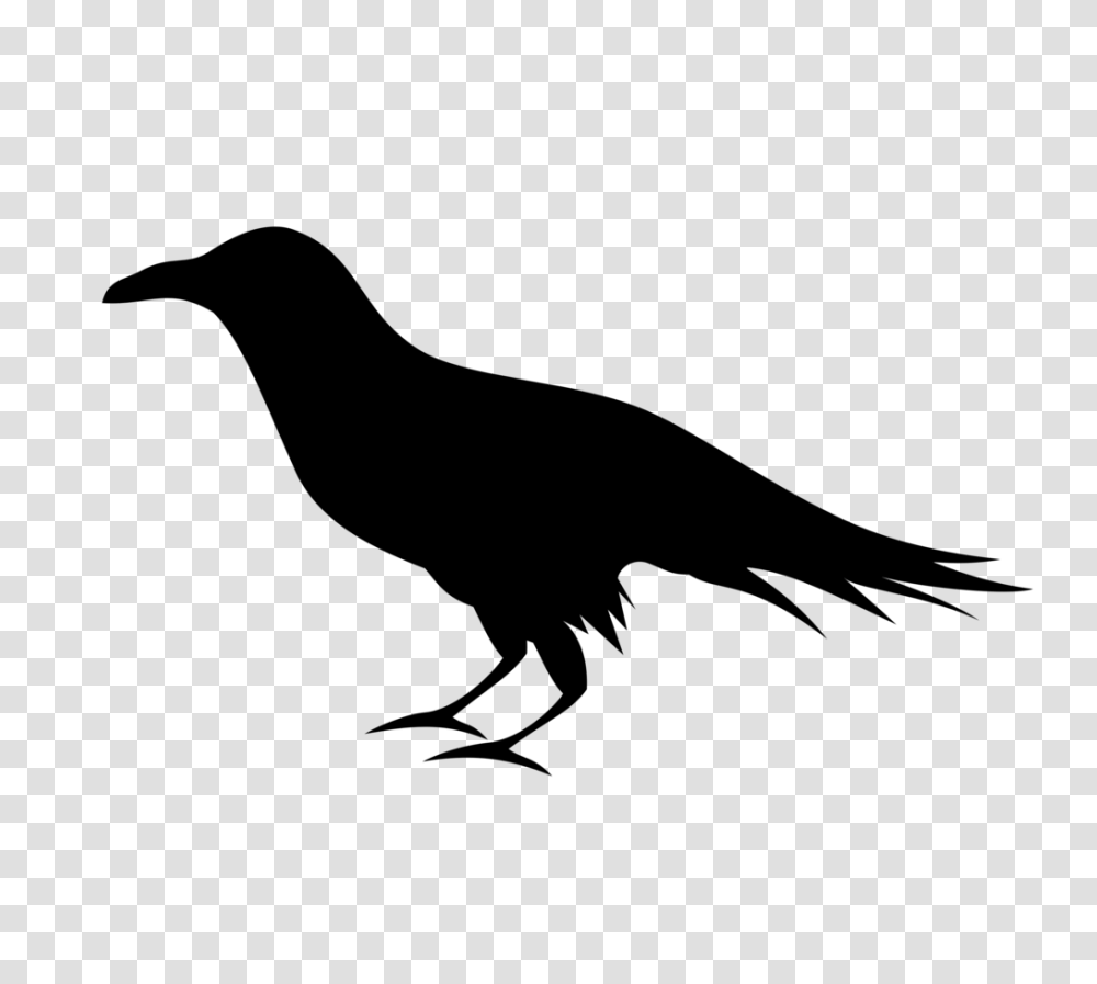 Raven Clipart Hd, Gray, World Of Warcraft Transparent Png