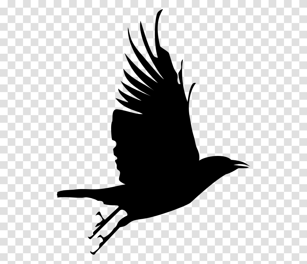 Raven Clipart Poe, Gray, World Of Warcraft Transparent Png