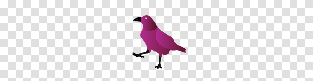 Raven Clipart Purple, Animal, Bird, Person, Human Transparent Png