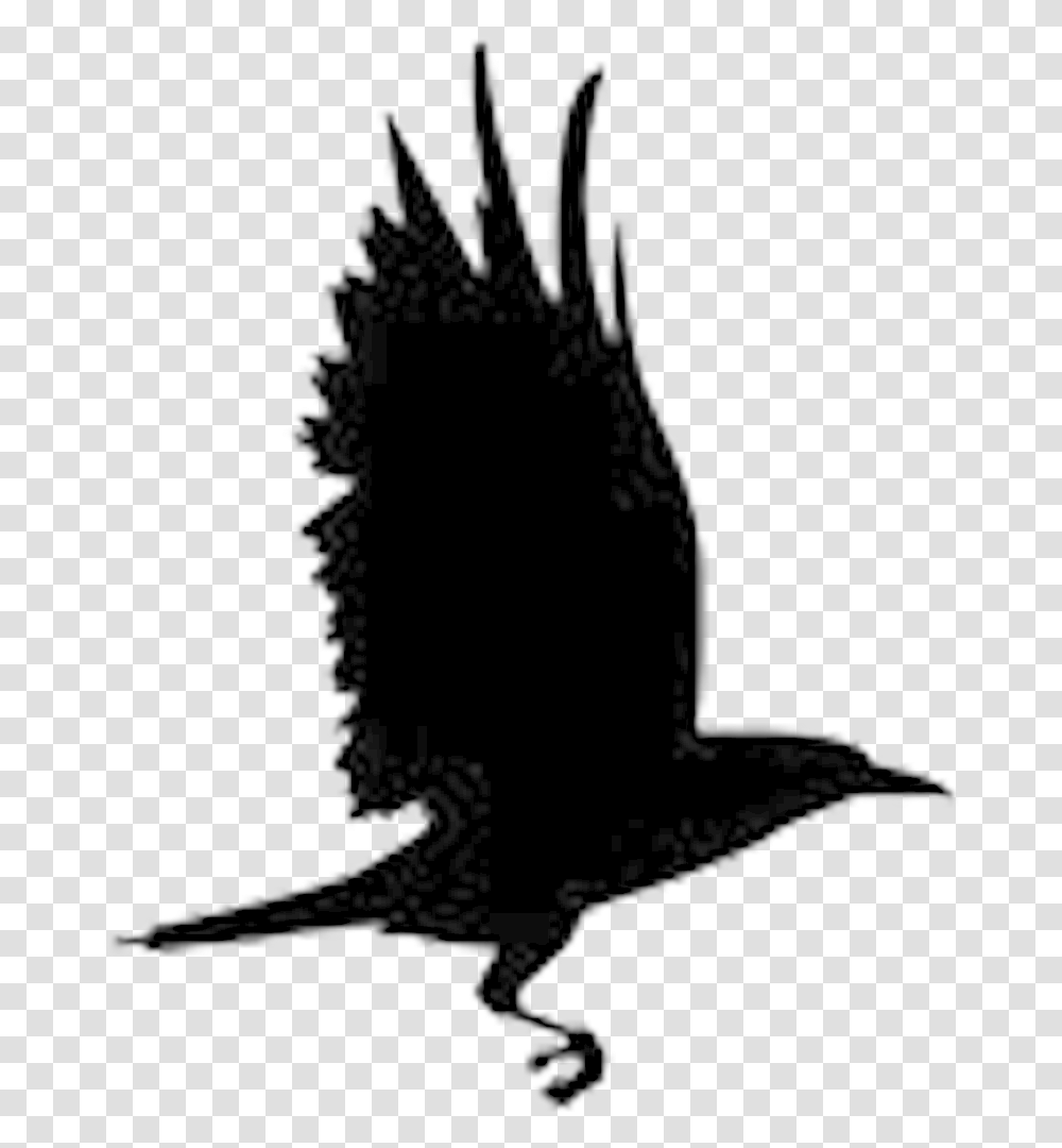 Raven Clipart Raven New Hope Logo, Animal, Mammal, Bird Transparent Png