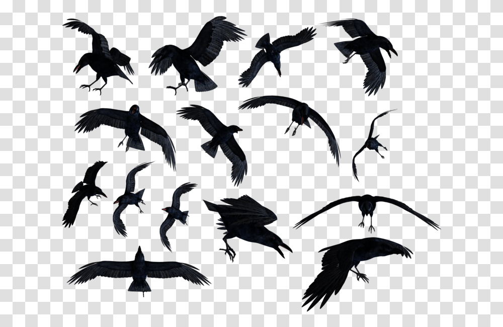 Raven Clipart Ravens, Flying, Bird, Animal, Flock Transparent Png