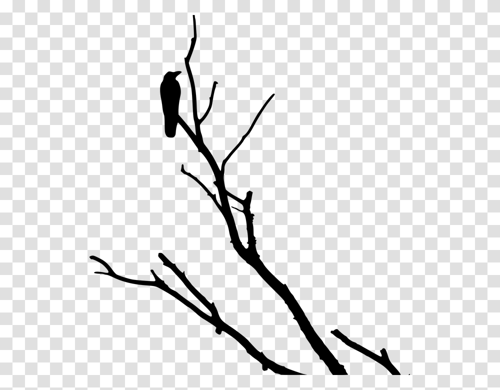 Raven Clipart Tree Silhouette, Gray, World Of Warcraft Transparent Png