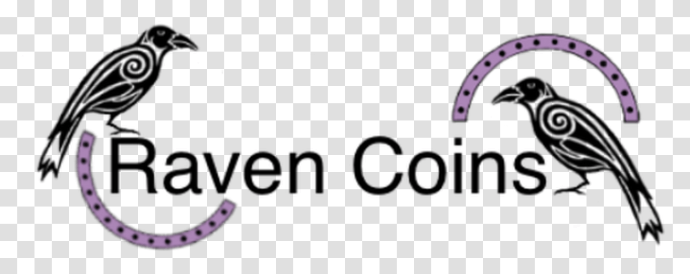 Raven Coins Background, Outdoors, Nature, Text, Stage Transparent Png