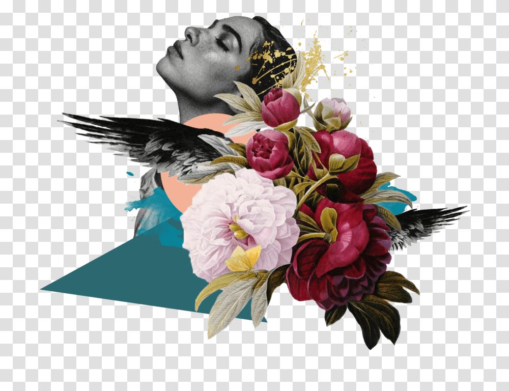 Raven Collage Redoute Flower, Plant, Blossom, Bird, Animal Transparent Png