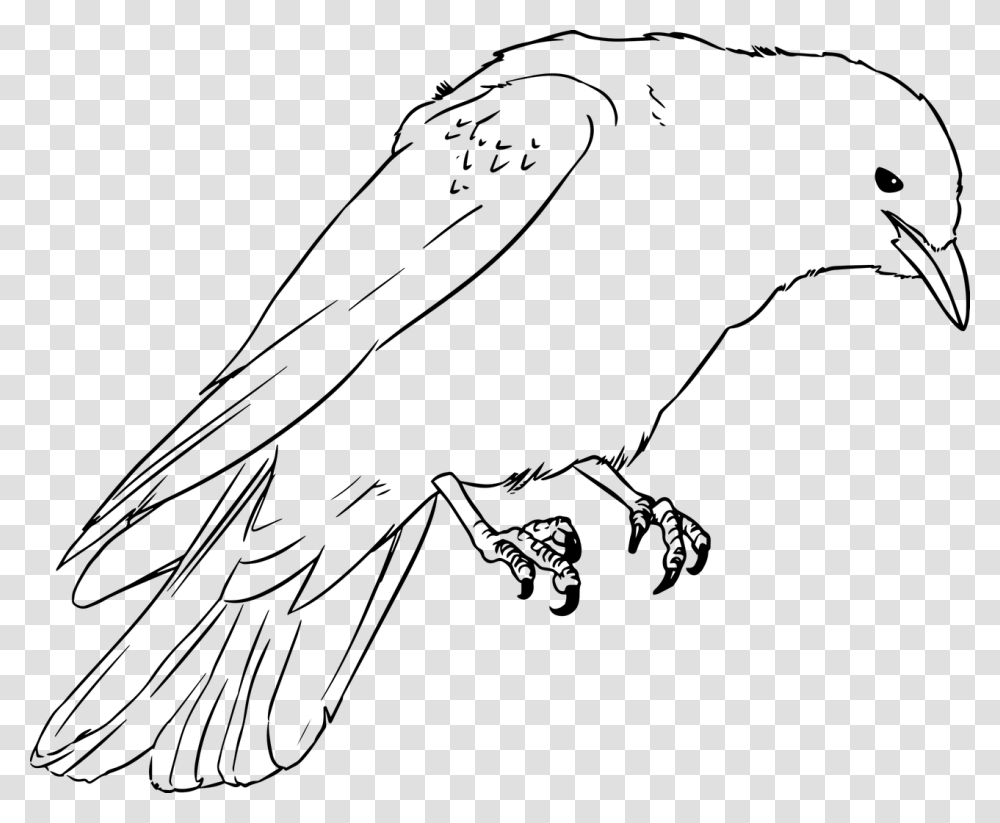 Raven Coloring Pages The Animal, Gray, World Of Warcraft Transparent Png