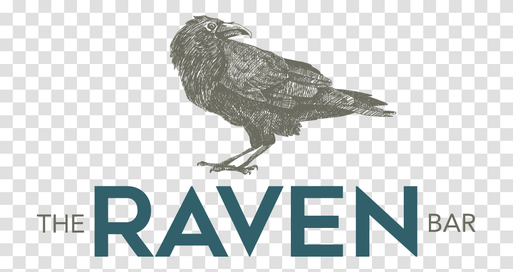 Raven Cork Logo, Poster, Advertisement, Bird, Animal Transparent Png