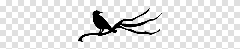 Raven Crow Border My Favorite Holiday, Gray, World Of Warcraft Transparent Png