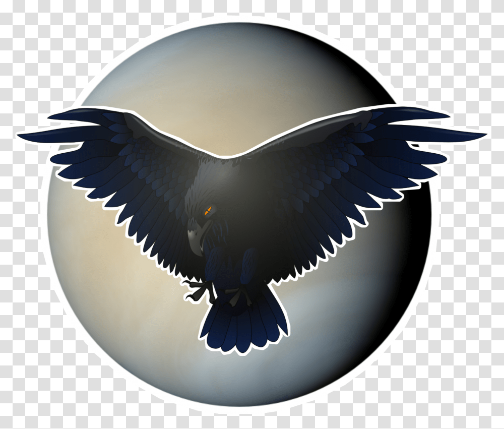 Raven, Eagle, Bird, Animal, Flying Transparent Png