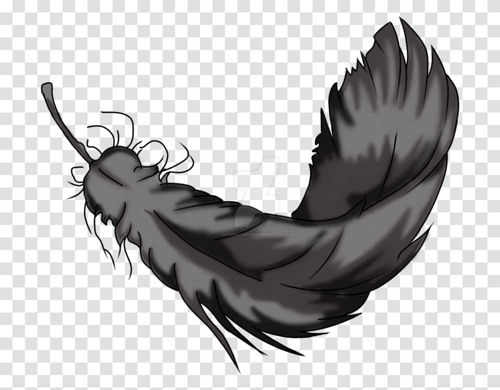 Raven Feather, Animal, Invertebrate, Insect, Helmet Transparent Png