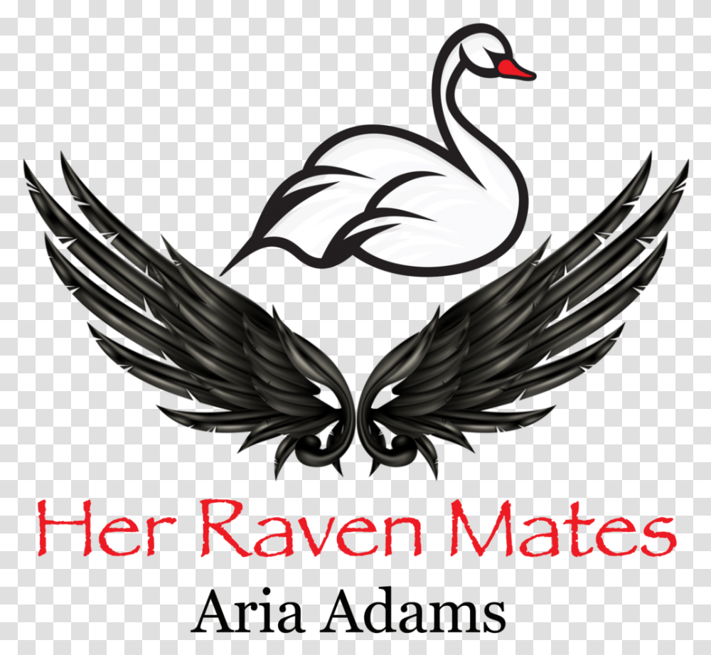 Raven Feather, Animal, Waterfowl, Bird, Swan Transparent Png