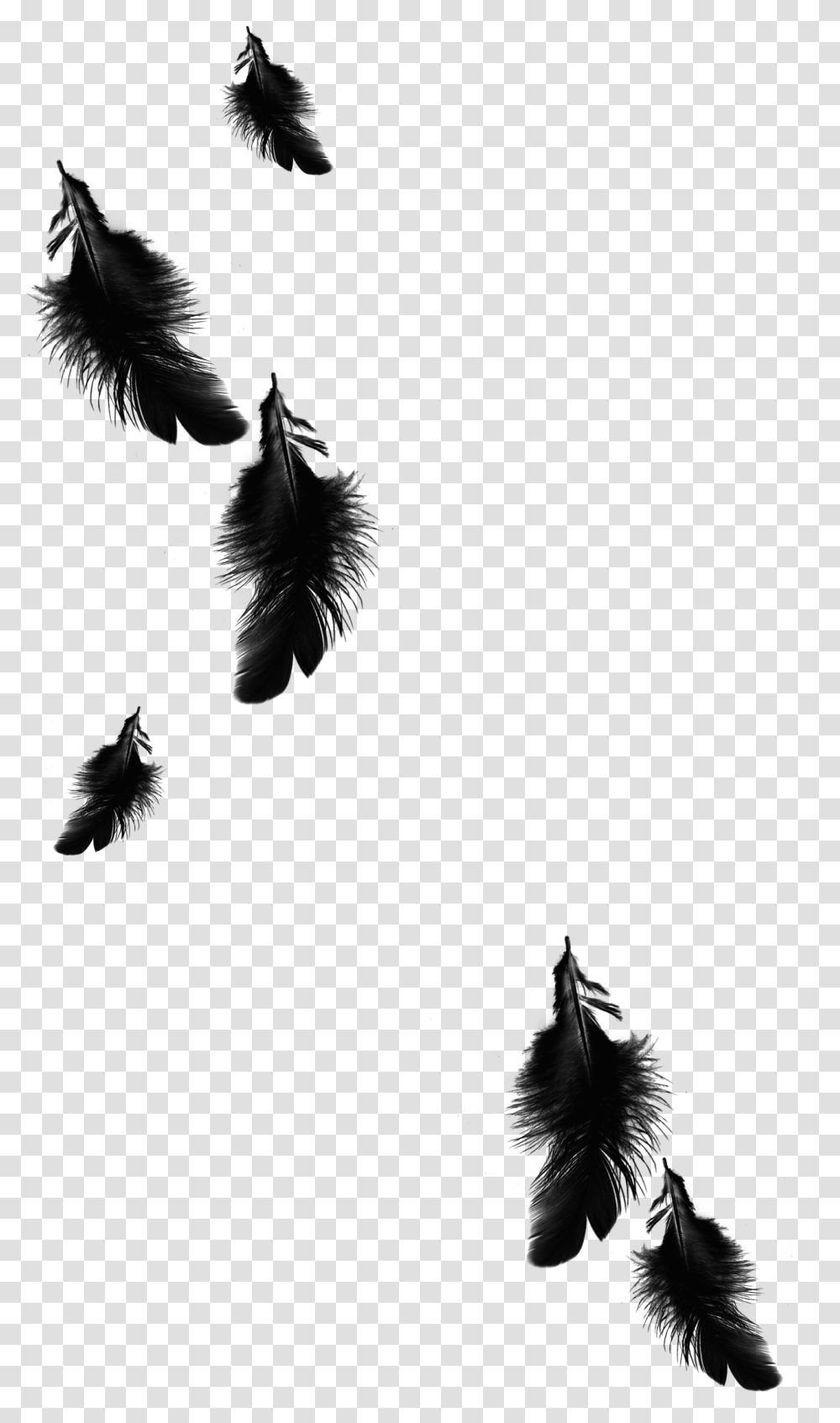 Raven Feather Azarath, Stencil, Cross Transparent Png