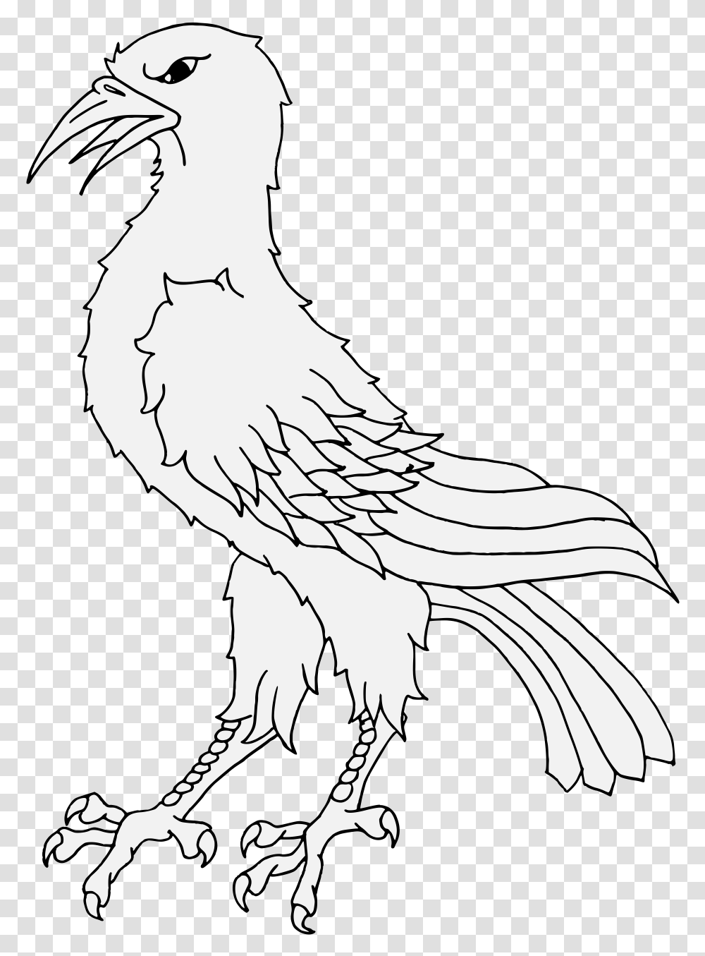 Raven Feather Bird Of Prey, Animal, Vulture, Eagle, Person Transparent Png