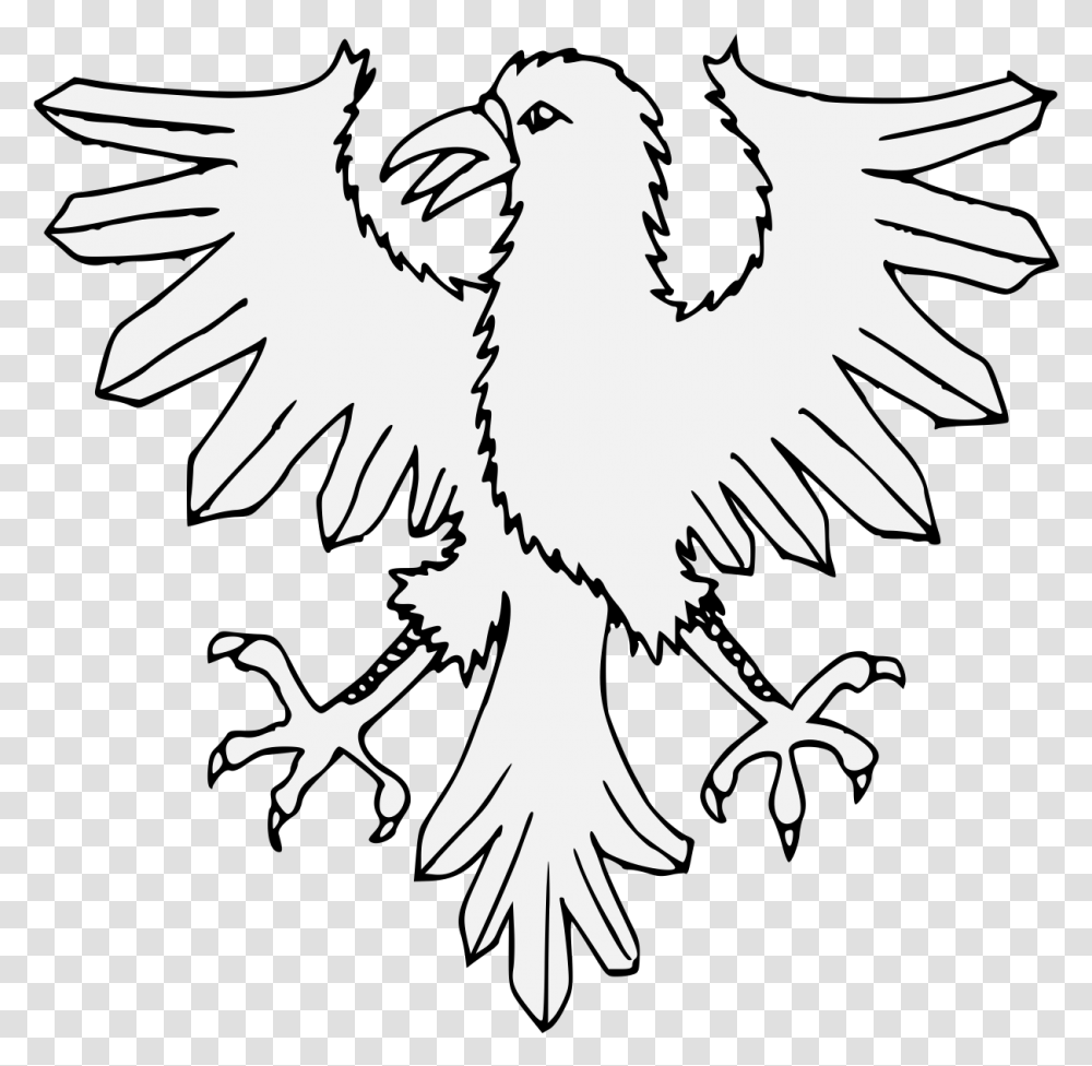 Raven Feather, Eagle, Bird, Animal, Poster Transparent Png